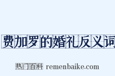 费加罗的婚礼反义词是什么意思的图片